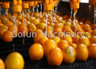 Équipement professionnel pour la transformation des agrumes de tangerines 5T/H Certificat ISO
